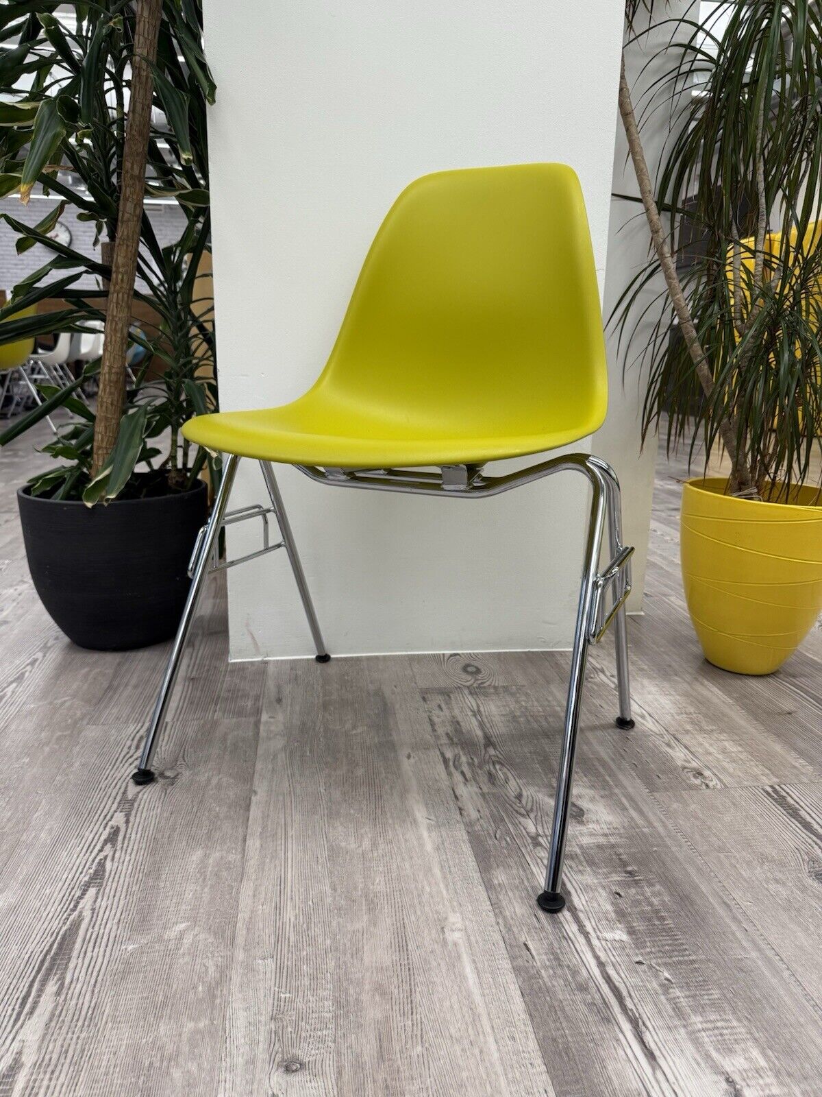 Eames Plastic Side Chair DSS in Mustard 729 Model