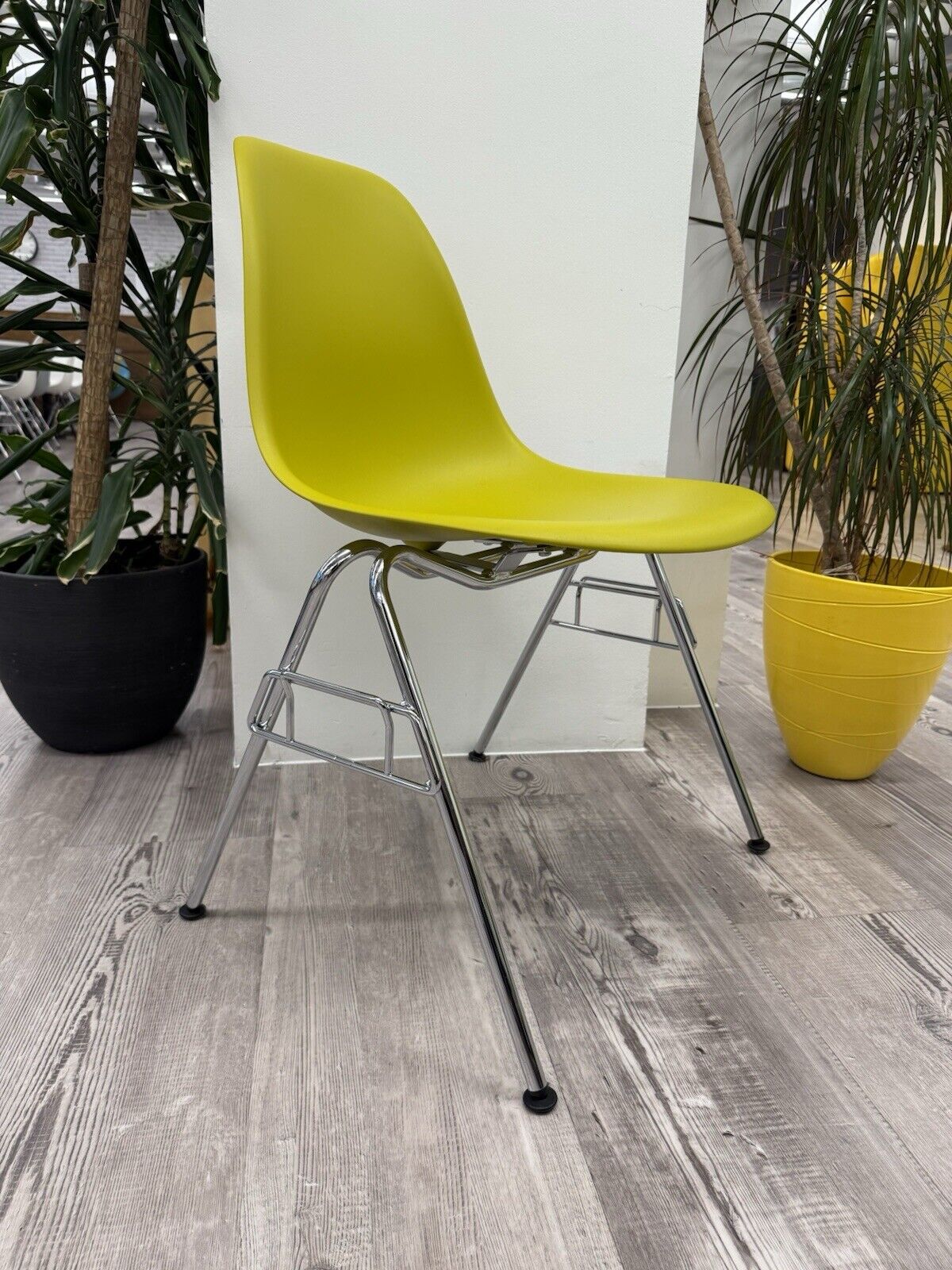 Eames Plastic Side Chair DSS in Mustard 729 Model