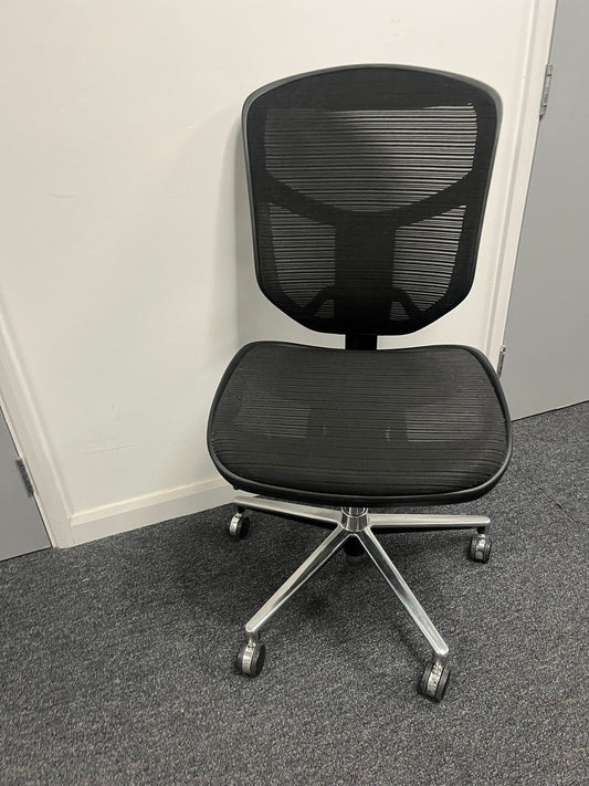 Ergohuman Ergonomic Office Chair – Mesh Seat & Back – No Arms – Black