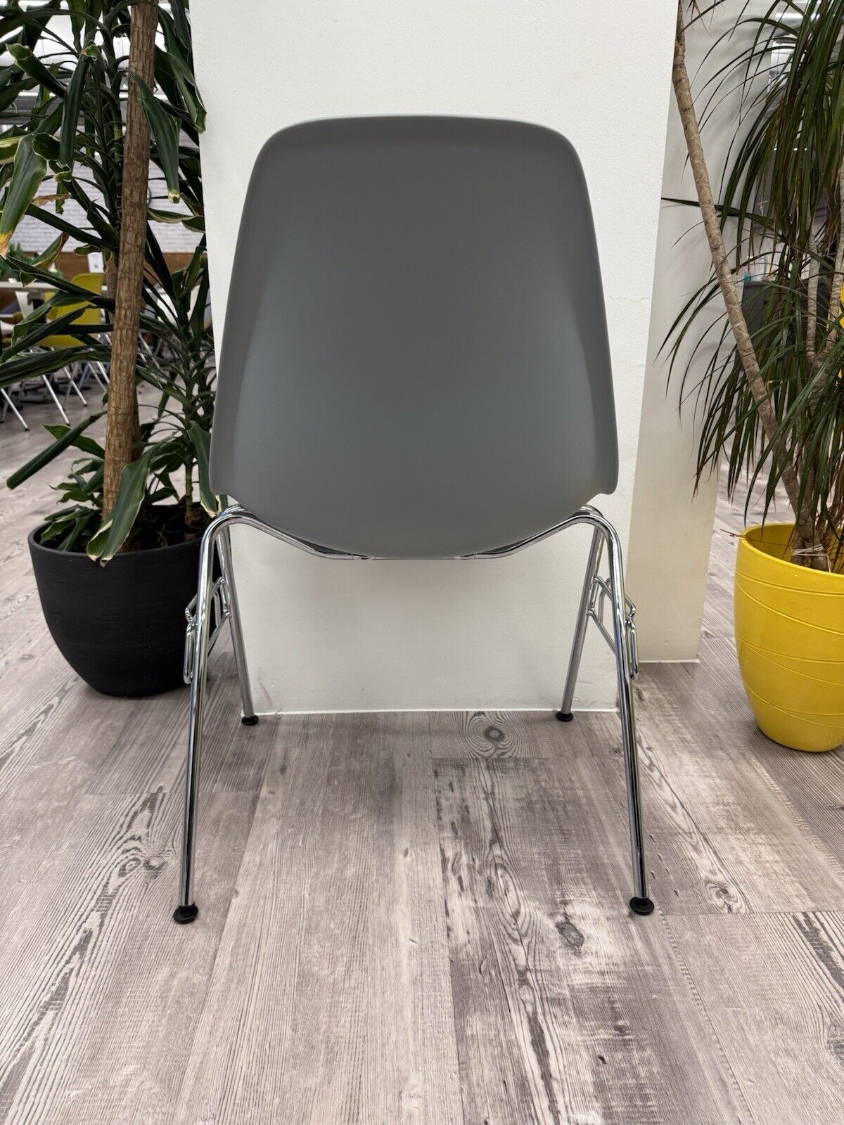 Eames Plastic Side Chair DSS in Ice Grey 